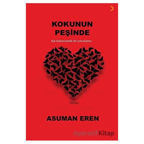 Kokunun Peşinde - Asuman Eren - Cinius Yayınları