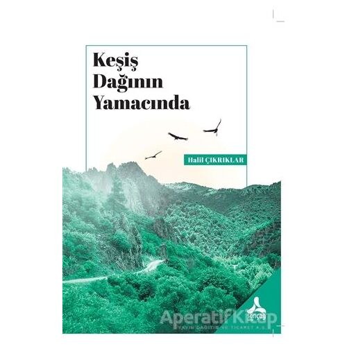 Keşiş Dağının Yamacında - Halil Çıkrıklar - Sonçağ Yayınları