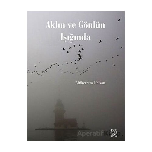 Aklın ve Gönlün Işığında - Mükerrem Kalkan - Luna Yayınları