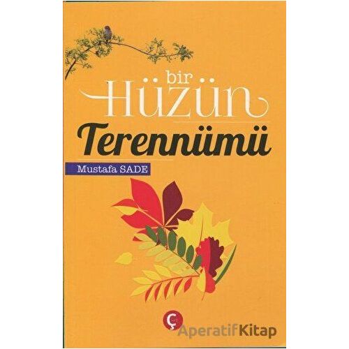 Bir Hüzün Terennümü - Mustafa Sade - Çeri Yayınları