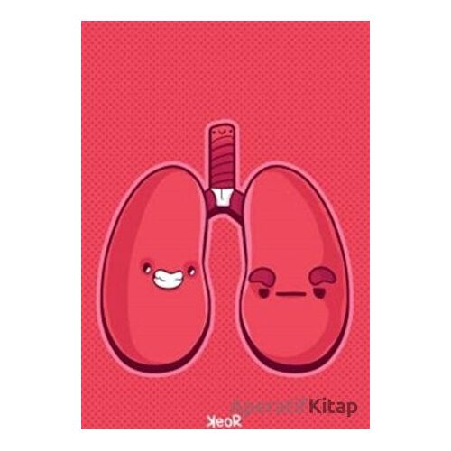 Akciğer Defter - Kolektif - Apiko Defter
