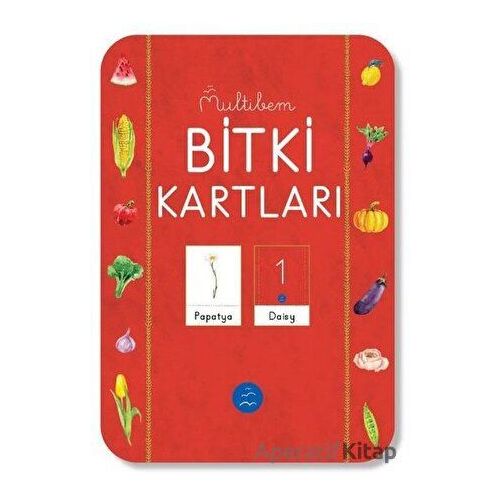 Bitki Kartları - Kolektif - Multibem Yayınları