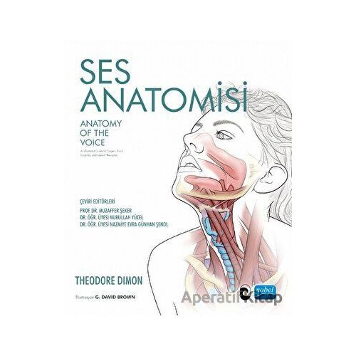 Ses Anatomisi - Theodore Dimon - Nobel Akademik Yayıncılık