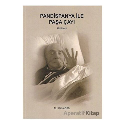 Pandispanya İle Paşa Çayı - Ali Kayacan - Deka Yayınları