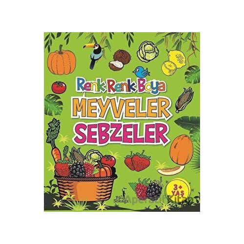 Meyveler Sebzeler - Renk Renk Boya - Serkan Karakoç - Pal Sokağı Yayınları