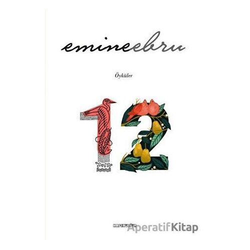 12 - Emine Ebru - Kafe Kültür Yayıncılık