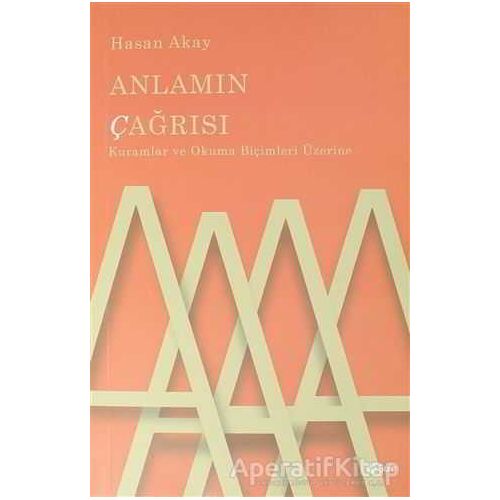 Anlamın Çağrısı - Hasan Akay - Şule Yayınları