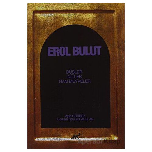 Erol Bulut - Aylin Gürbüz - Paradigma Akademi Yayınları