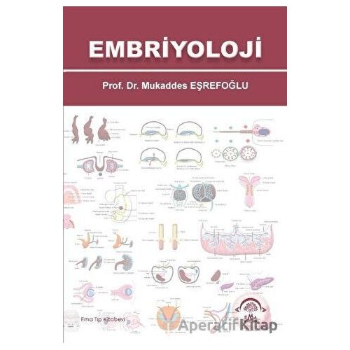 Embriyoloji - Mukaddes Eşrefoğlu - EMA Tıp Kitabevi