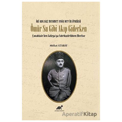 Ömür Su Gibi Akıp Giderken - Mithat Atabay - Paradigma Akademi Yayınları