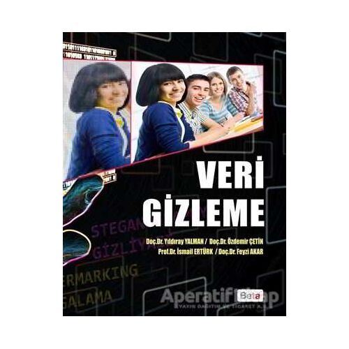 Veri Gizleme - Özdemir Çetin - Beta Yayınevi
