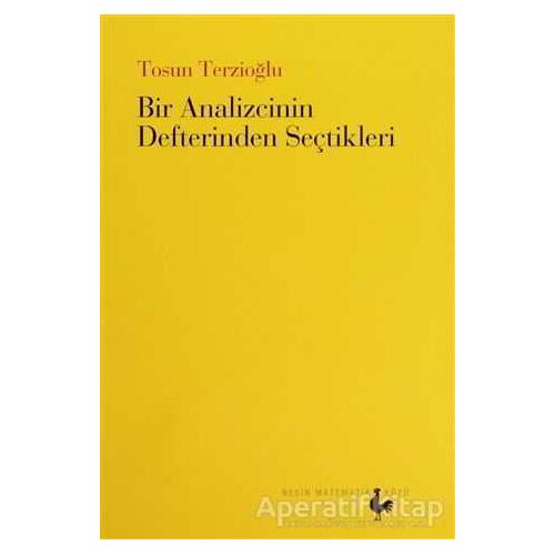 Bir Analizcinin Defterinden Seçtikleri - Tosun Terzioğlu - Nesin Matematik Köyü