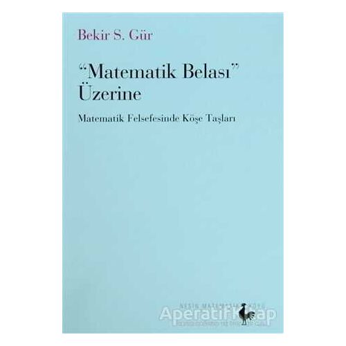 Matematik Belası Üzerine - Bekir S. Gür - Nesin Matematik Köyü