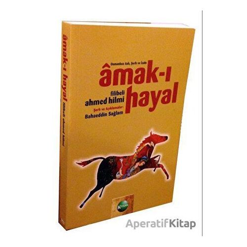 Amak-ı Hayal - Bahaeddin Sağlam - Kitsan Yayınları