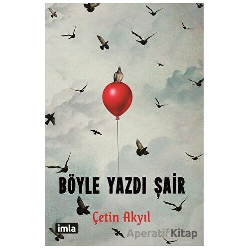 Böyle Yazdı Şair - Çetin Akyıl - İmla Kitap