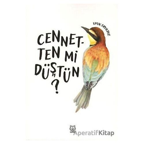 Cennetten mi Düştün? - Ufuk Eryıldız - Luna Yayınları