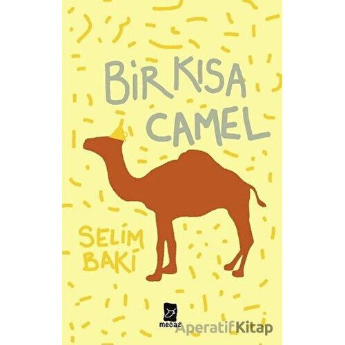 Bir Kısa Camel - Selim Baki - Mecaz Yayınları