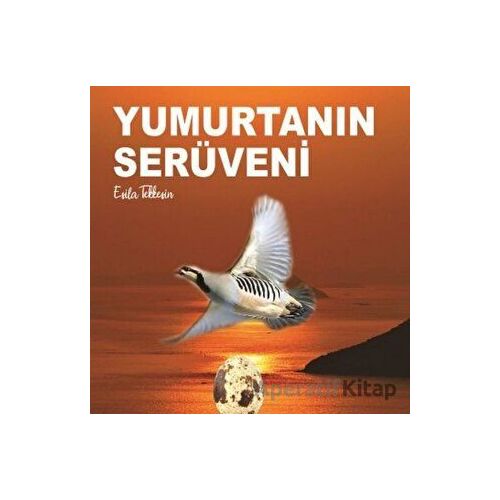 Yumurtanın Serüveni - Esila Tekkeşin - Kitap72 Yayınları