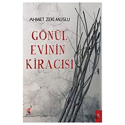 Toprak Duman ve Kedi - Güler Kalem - Klaros Yayınları