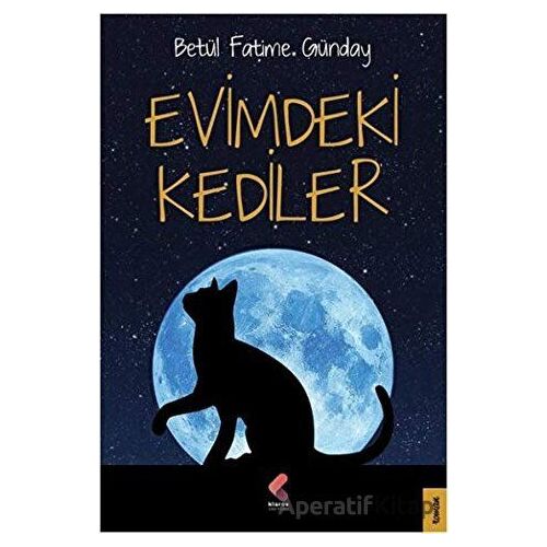 Evimdeki Kediler - Betül Fatime Günday - Klaros Yayınları