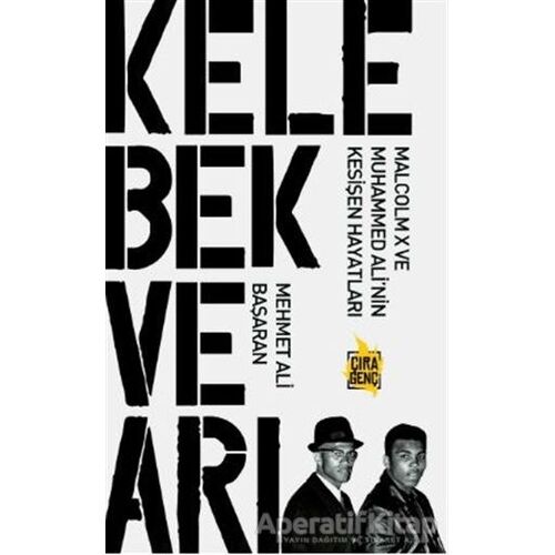 Kelebek ve Arı - Mehmet Ali Başaran - Çıra Yayınları