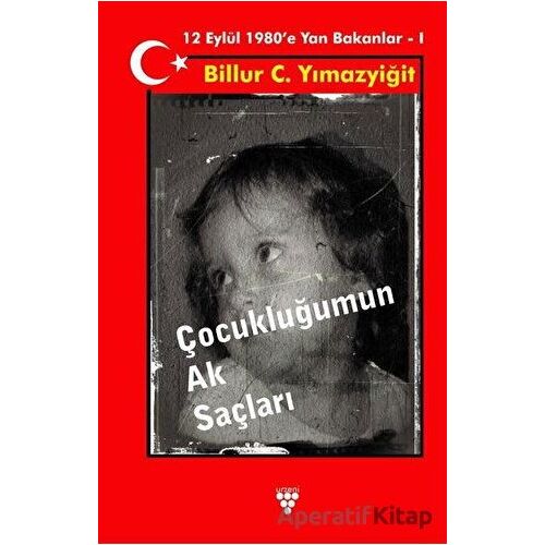 Çocukluğumun Ak Saçları - Billur C. Yılmazyiğit - Urzeni Yayıncılık