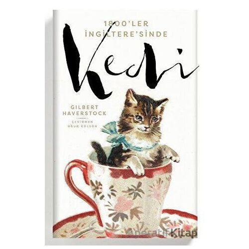1800ler İngilteresinde Kedi - Philip M. Rule - Flamingo Yayınları