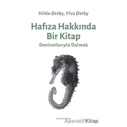 Hafıza Hakkında Bir Kitap - Ylva Otsby - Kaplumbaa Kitap