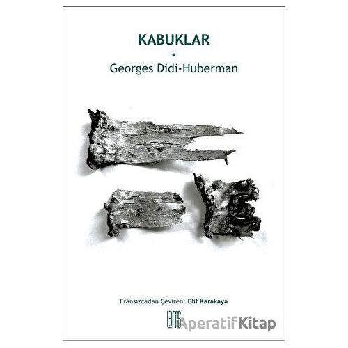 Kabuklar - Georges Didi-Huberman - Lemis Yayın