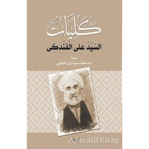 Kulliyatu-s Seyid Eli El Findiki - Seyid Eliye Findiki - Nubihar Yayınları