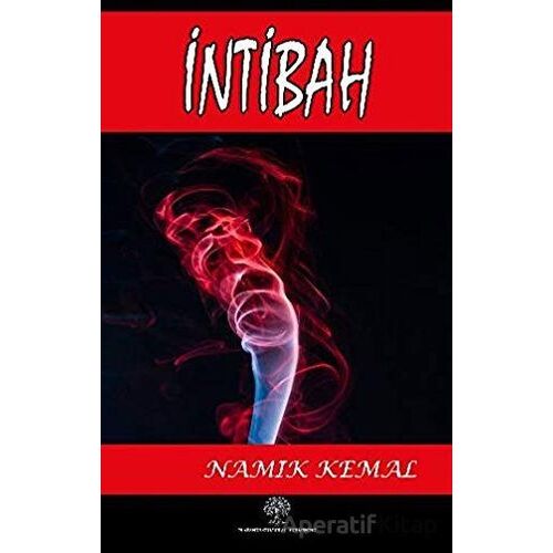 İntibah - Namık Kemal - Platanus Publishing