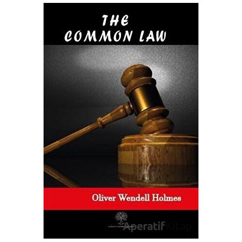 The Common Law - Oliver Wendell Holmes Jr. - Platanus Publishing