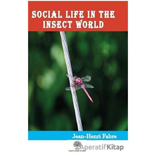 Social Life in the Insect World - Jean Henri Fabre - Platanus Publishing
