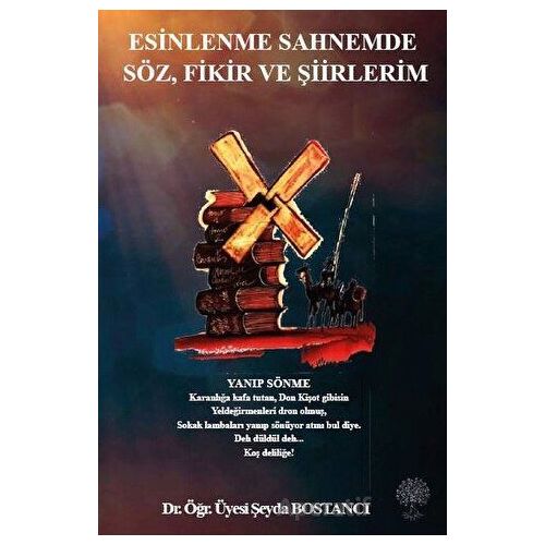 Esinlenme Sahnemde Söz, Fikir ve Şiirlerim - Şeyda Bostancı - Platanus Publishing