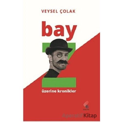 Bay Z Üzerine Kronikler - Veysel Çolak - Klaros Yayınları