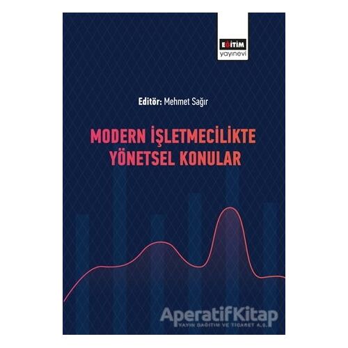 Modern İşletmecilikte Yönetsel Konular - Mehmet Sağır - Eğitim Yayınevi - Bilimsel Eserler