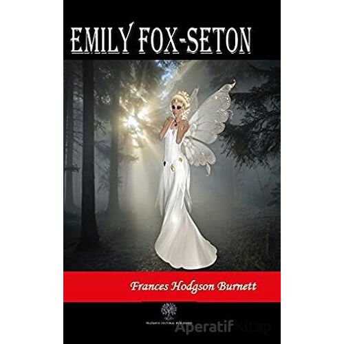 Emily Fox-Seton - Frances Hodgson Burnett - Platanus Publishing