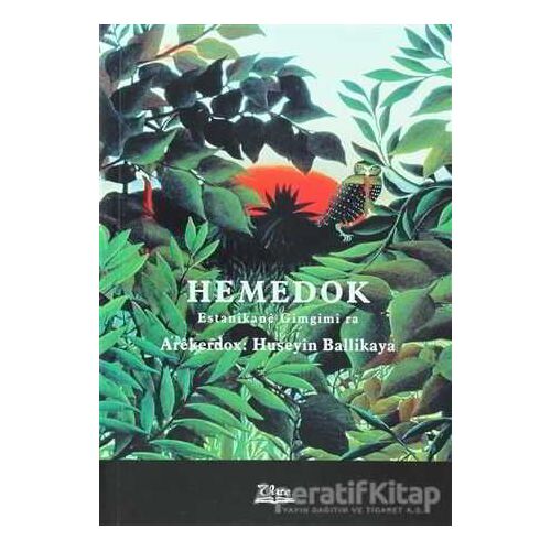 Hemedok - Huseyın Ballikaya - Vate Yayınevi