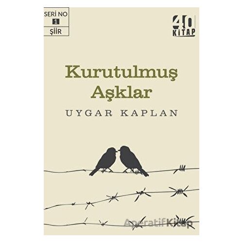 Kurutulmuş Aşklar - Uygar Kaplan - 40 Kitap