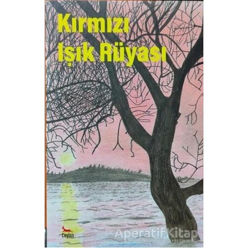 Kırmızı Işık Rüyası - Kolektif - Ceylan Yayınları