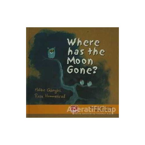 Where Has The Moon Gone ? - Reza Hemmatirad - UMP Yayınları