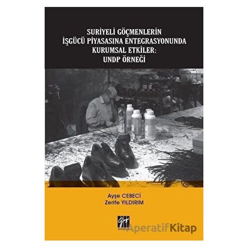 Suriyeli Göçmenlerin İşgücü Piyasasına Entegrasyonunda Kurumsal Etkiler: UNDP Örneği