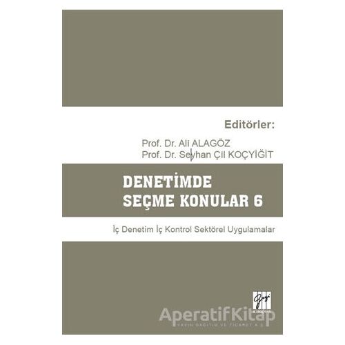 Denetimde Seçme Konular 6 - Seyhan Çil Koçyiğit - Gazi Kitabevi