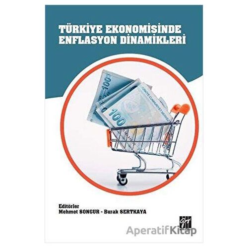Türkiye Ekonomisinde Enflasyon Dinamikleri - Burak Sertkaya - Gazi Kitabevi