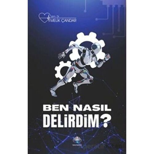 Ben Nasıl Delirdim? - Muhammed Melik Çandar - Mavi Nefes Yayınları