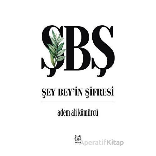 Şey Bey’in Şifresi - Adem Ali Kömürcü - Luna Yayınları