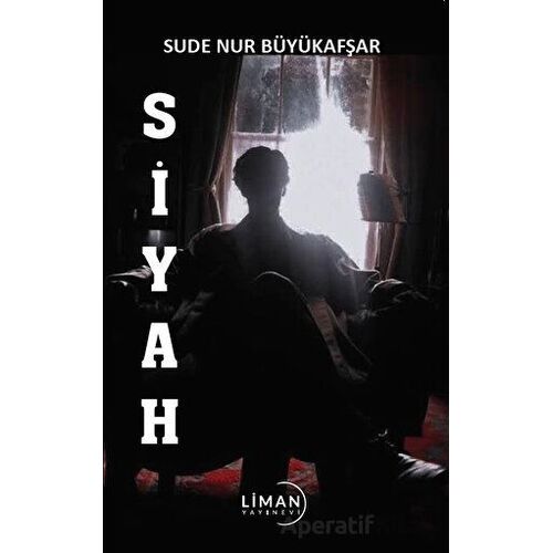 Siyah - Sude Nur Büyükafşar - Liman Yayınevi