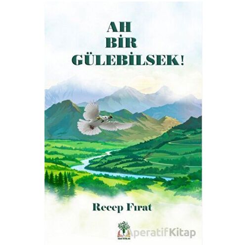 Ah Bir Gülebilsek - Recep Fırat - Sidar Yayınları