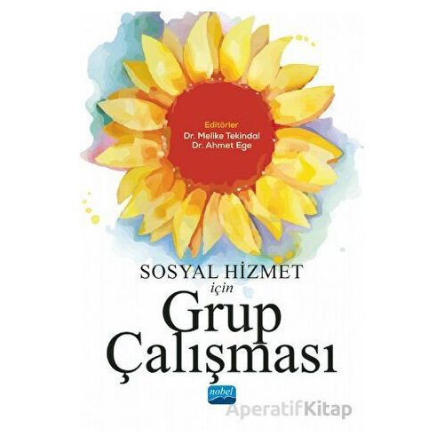 Sosyal Hizmet İçin Grup Çalışması - Kolektif - Nobel Akademik Yayıncılık