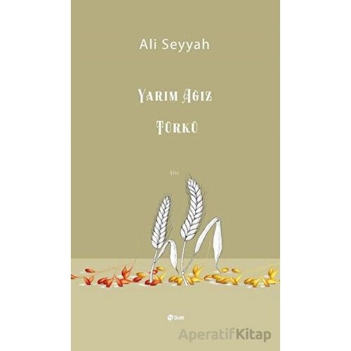 Yarım Ağız Türkü - Ali Seyyah - Şule Yayınları
